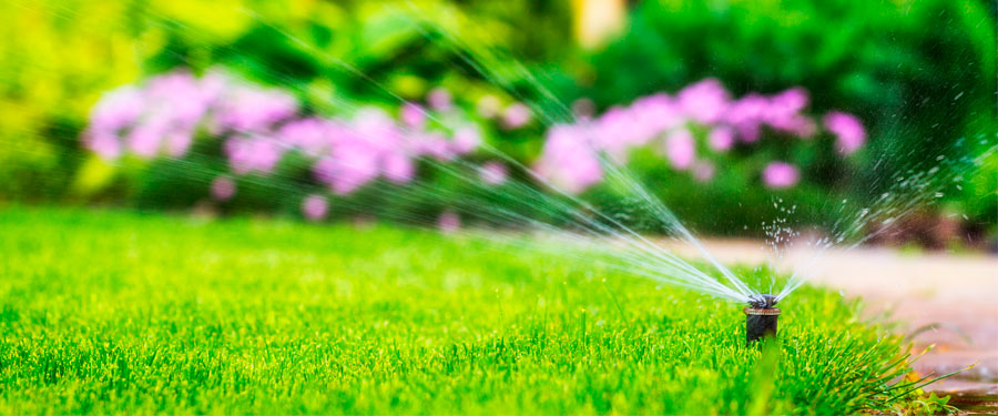 Top 5 Advantages of Installing an Automatic Irrigation System