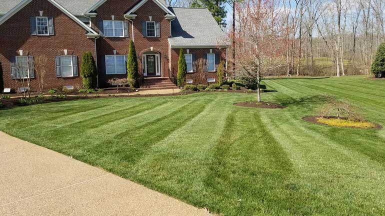 20+ Affordable lawn care richmond va info