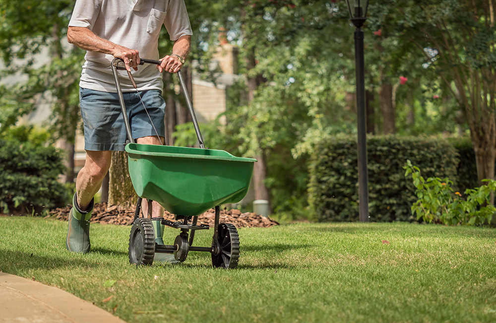 Easy, Low-Cost Seeding Lawn