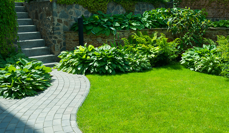 Landscaping Contractor in Chesterfield VA