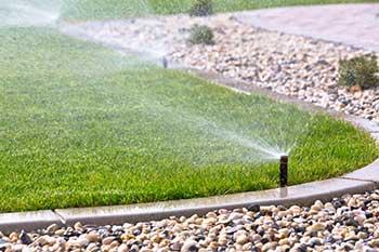 watering lawn with sprinkler system
