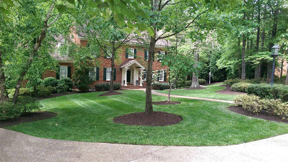 Nice House with Healthy Trees in the front Yard