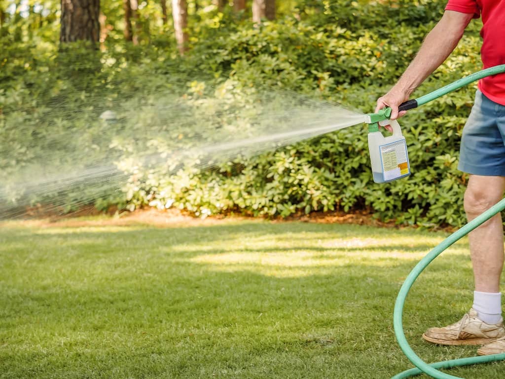 Best Lawn Insecticide: 7 Effective Pest Control Solutions