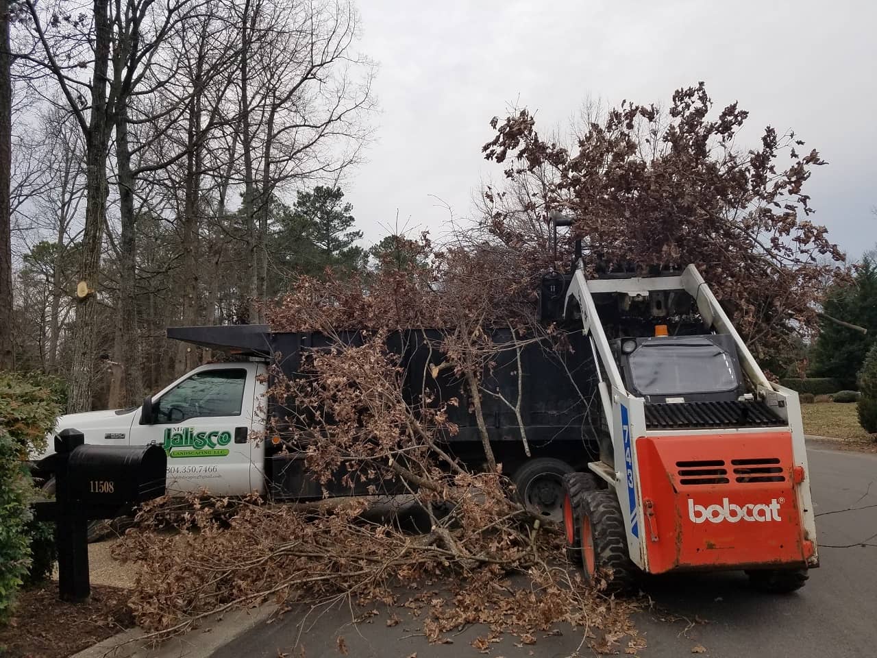 Tree Removal