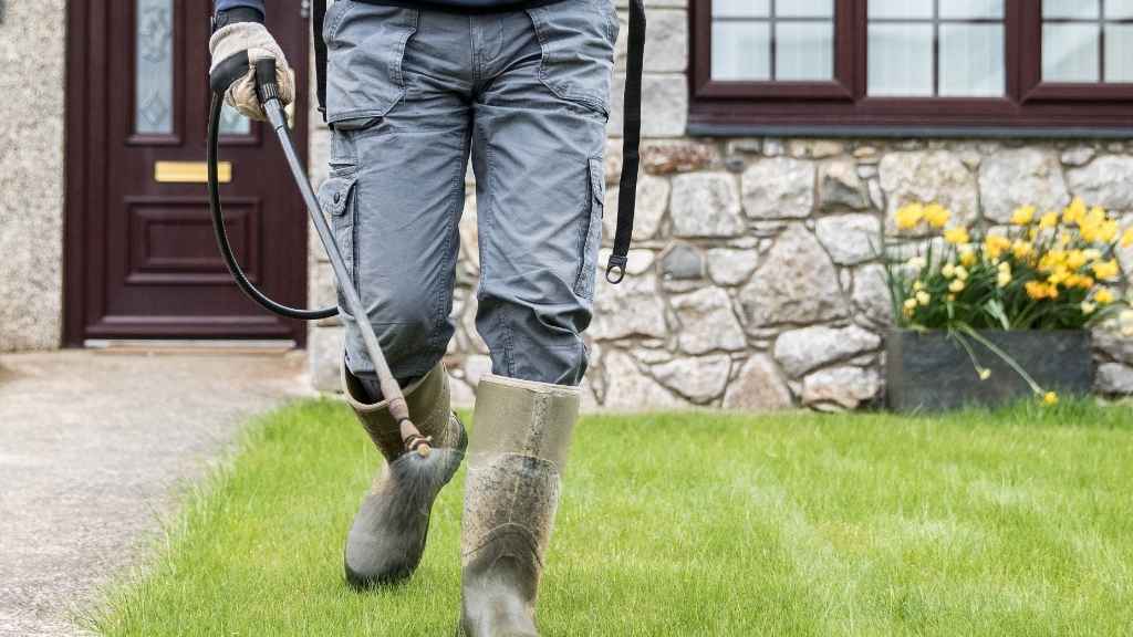 Apply Pre-Emergent Herbicides for Weed Control