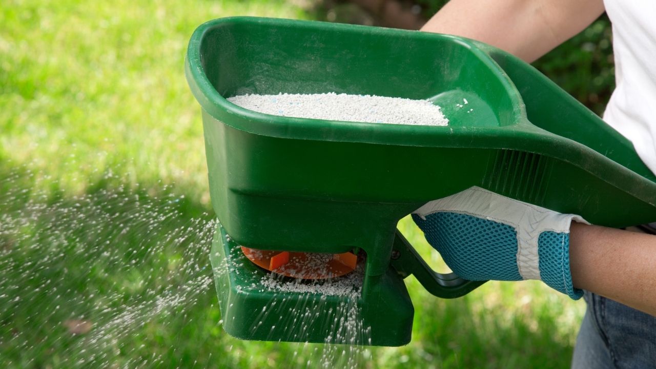 Fertilize Your Lawn After the Second or Third Mowing