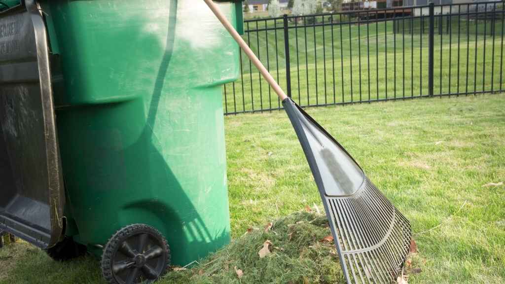 Rake Yard Debris