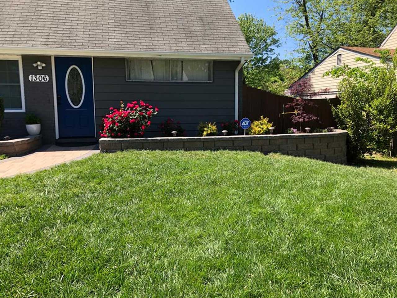 Spring Lawn Care Tips to Control Weeds and Diseases