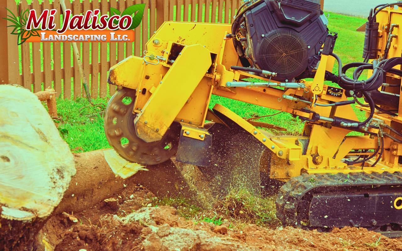 How to Remove a Tree Stump Safely and Efficiently
