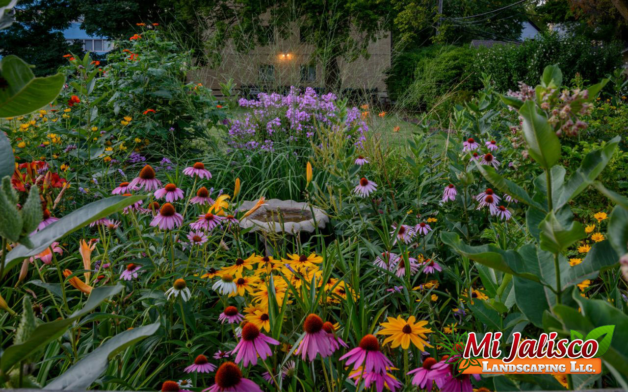 cheap perennials in garden