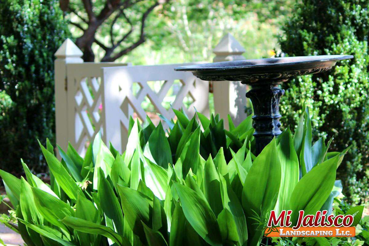 Cheap birdbath ideas for the front yard