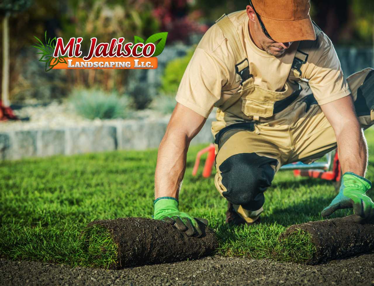 Enhance Your Property With Lawn Renovation