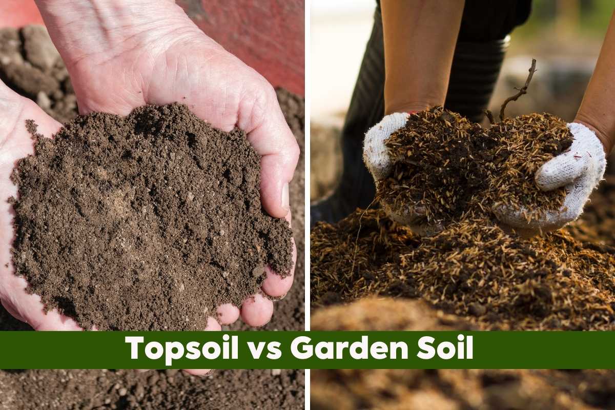 Topsoil vs Garden Soil Essential Tips and Differences