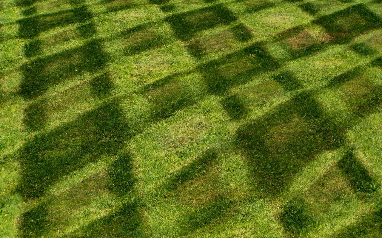 Elegant Diamond Pattern Lawn Aesthetics