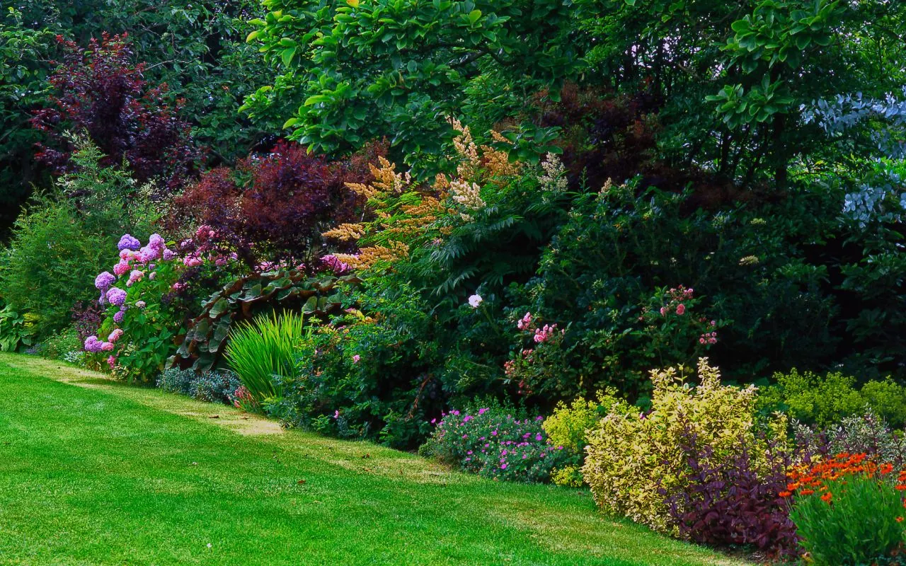 Tips for maintaining a healthy, grub-free lawn.