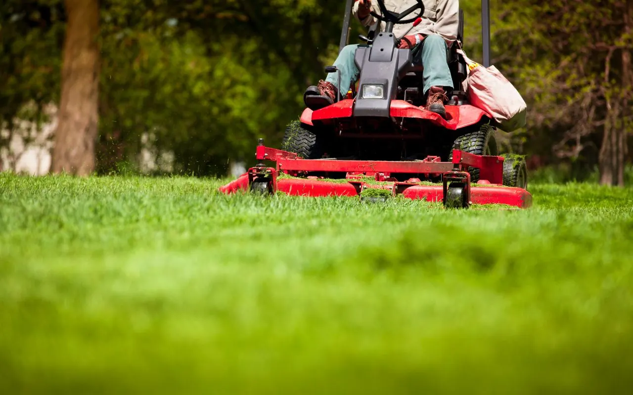 When to Mow After Overseeding Lawn Tips Maximize Growth