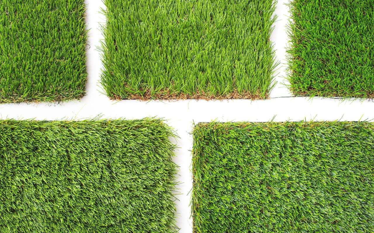Different types of grass suitable for various Virginia climate zones
