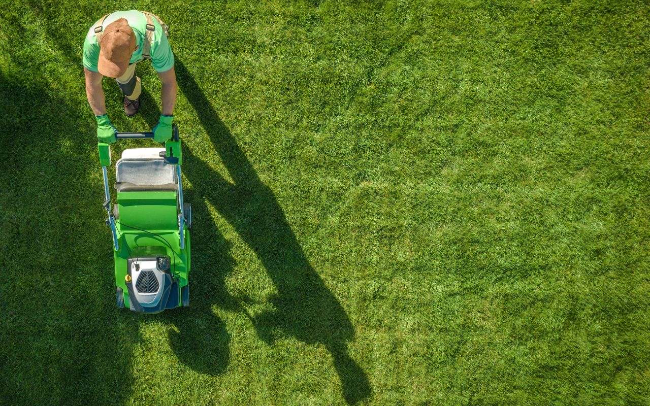 Guide on how to care for Virginia lawns with healthy green grass