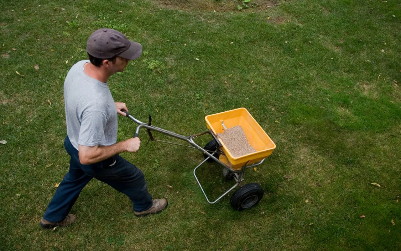 The Best Season to Fertilize Lawns