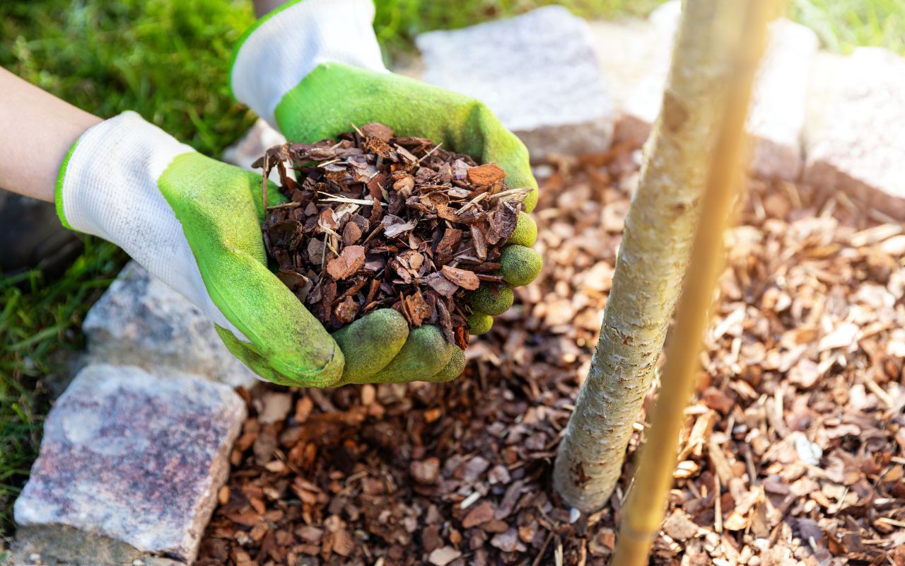 The Amazing Benefits of Mulch for Landscaping