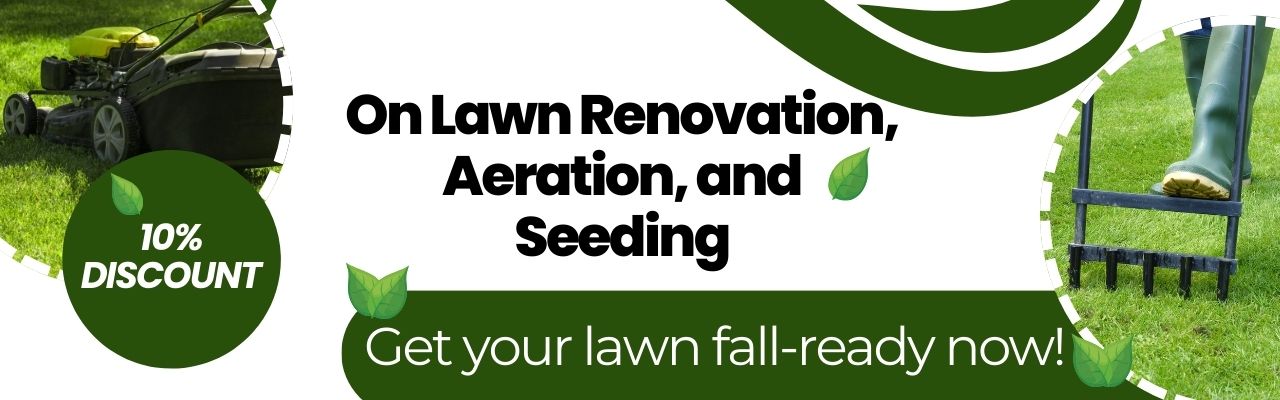 Landscaping Services in Richmond VA