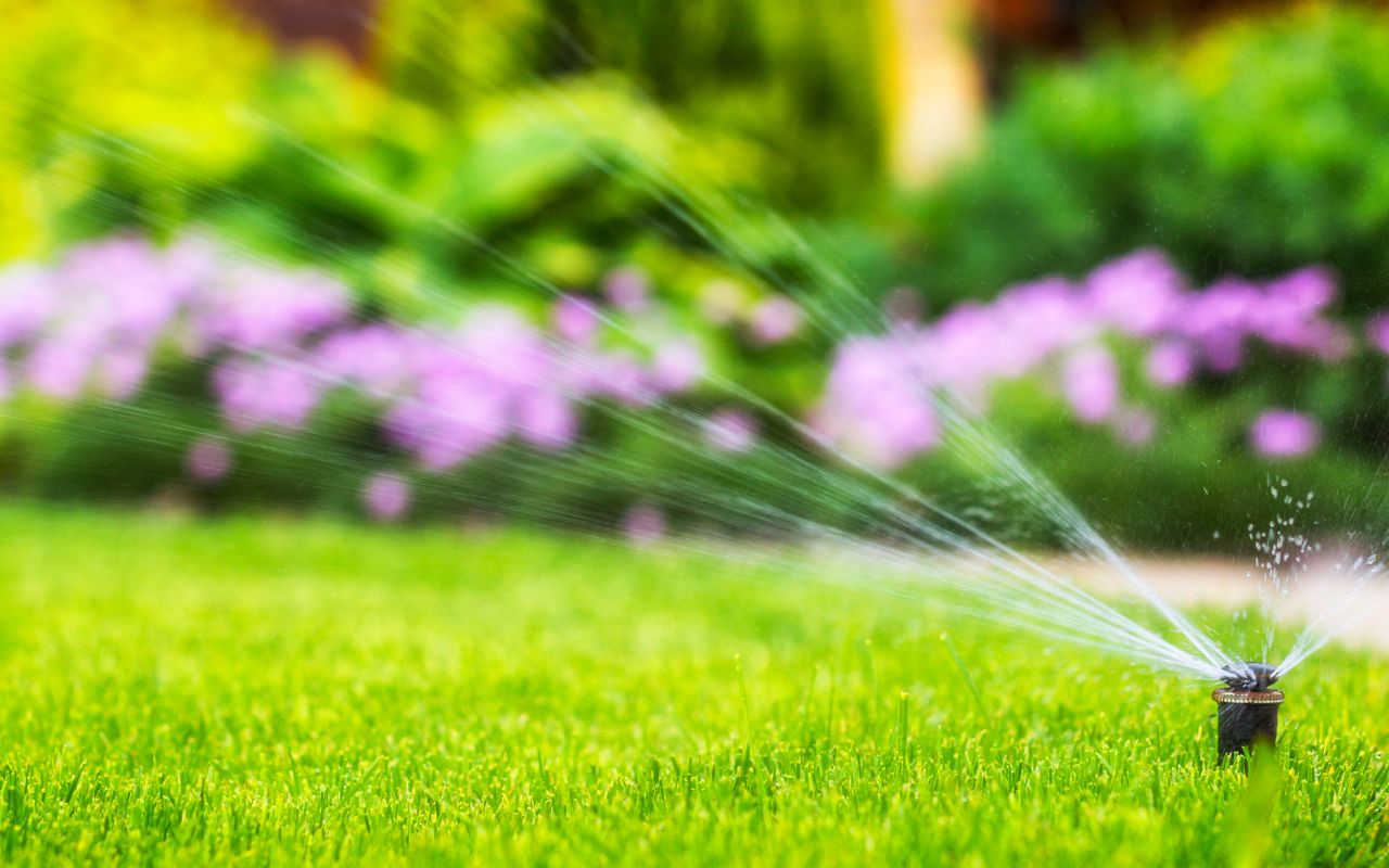 Properly watered lawn in Richmond, VA showcasing lush, green grass.