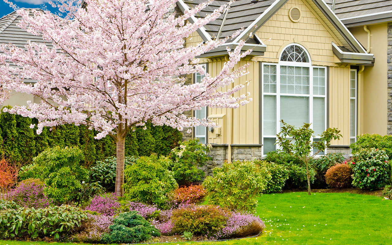 Top Creative Landscaping Ideas for Midlothian Homes