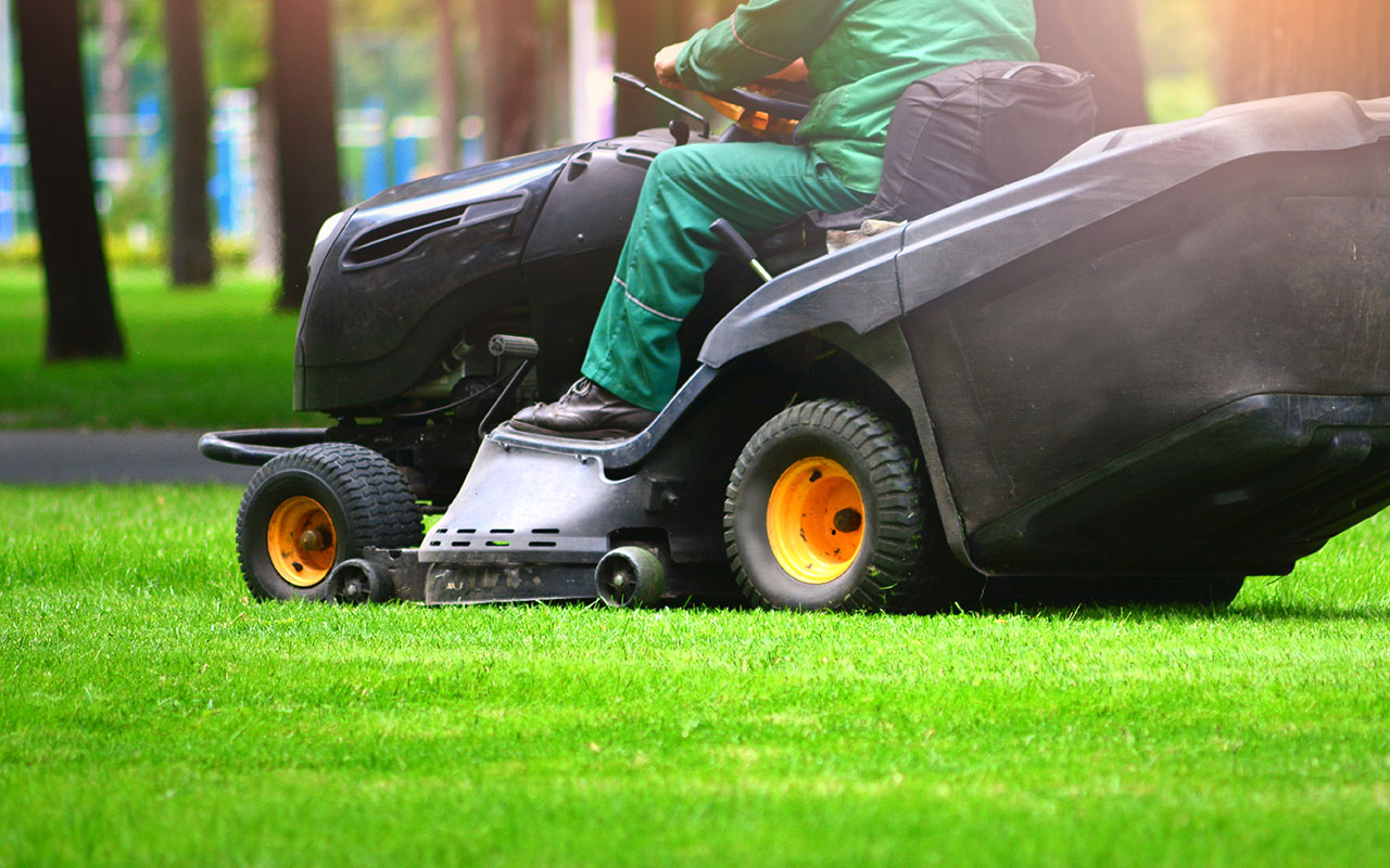 Seasonal Lawn Care Services