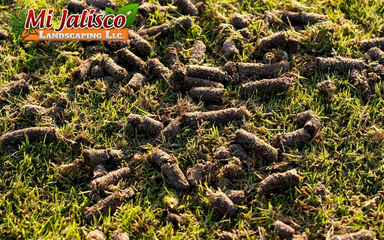 Why Lawn Aeration Matters for Chesterfield Properties