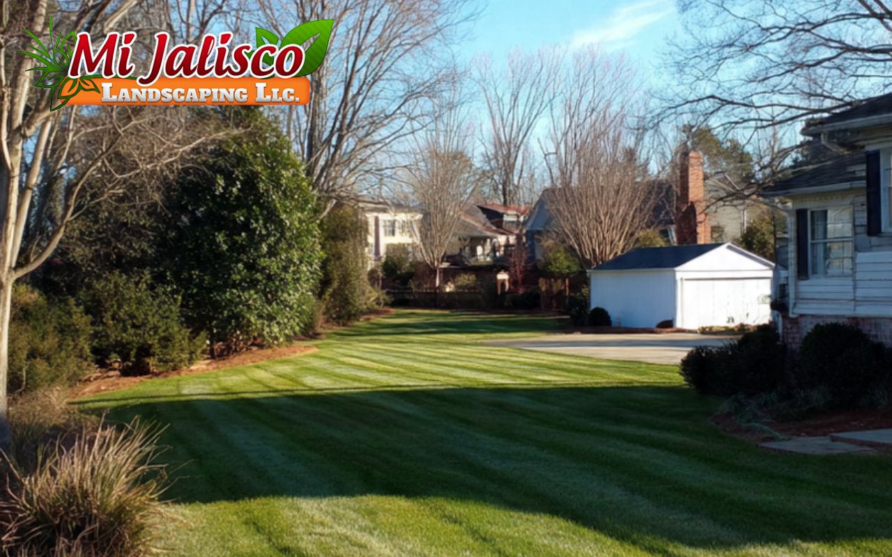Simple Winter Lawn Care Tips for Richmond, VA