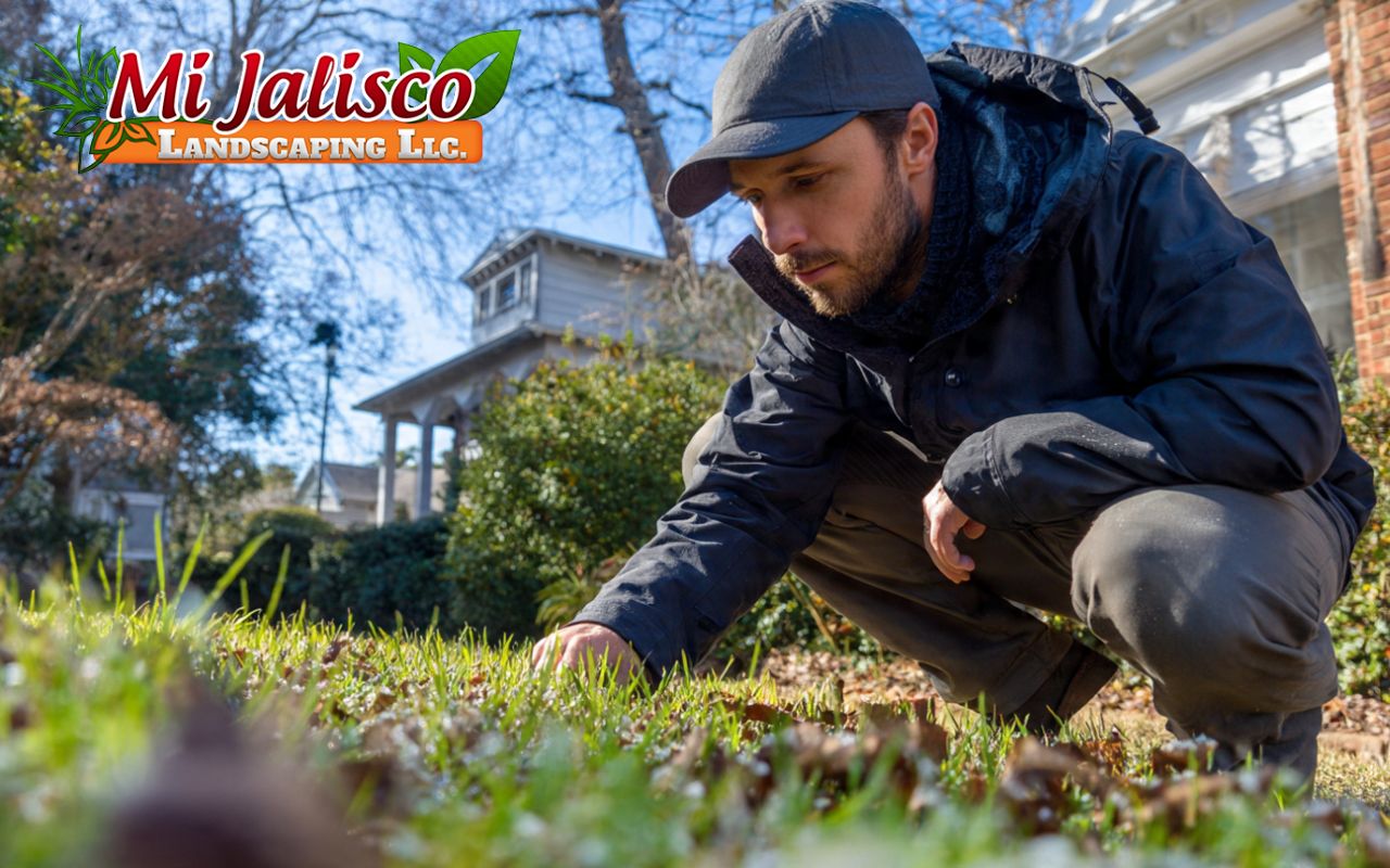 Protect Your Lawn: Easy Winter Weed Care in Richmond