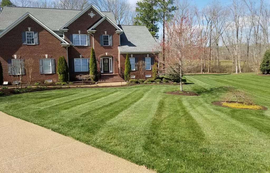 Home Lawn Mowed to the Right Height