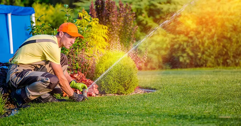 installing an automatic irrigation system