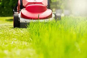 Promote Healthy Growth with Grass Mowing