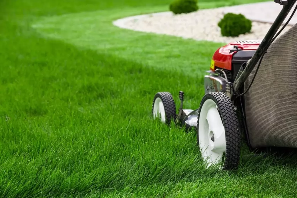 Lawn Mowing & Aeration