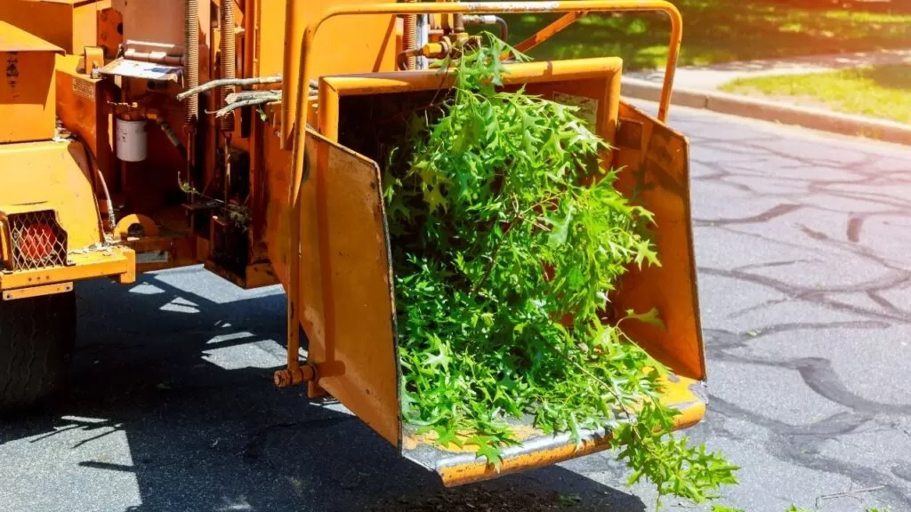 Wood Chipper to Shred Branches and Trunks