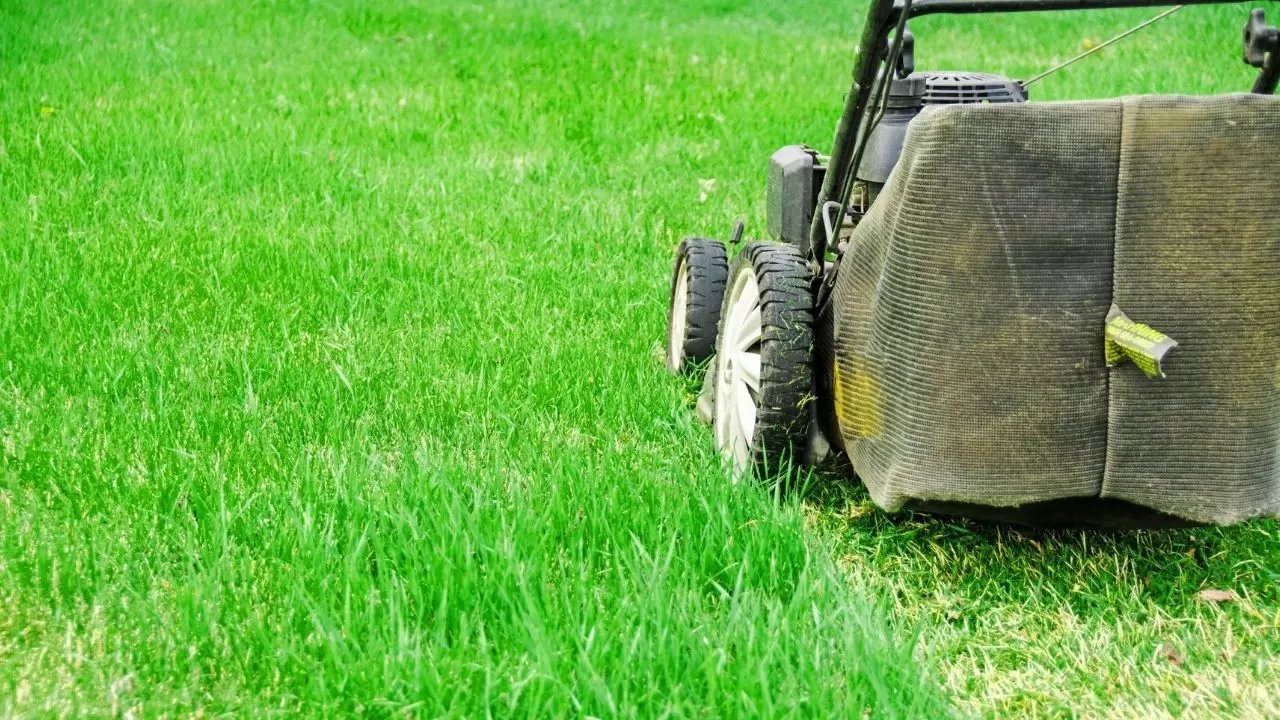 Start Mowing at the Ideal Height in Early Spring