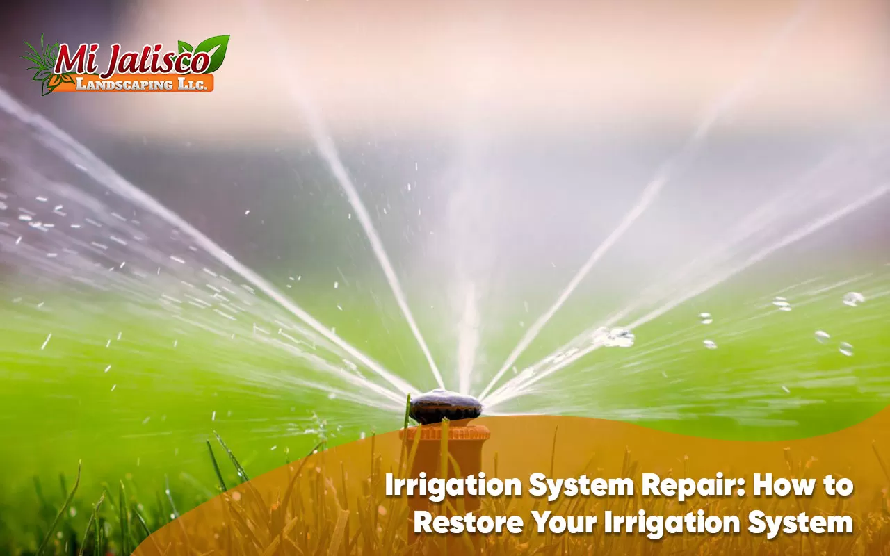 Residential Irrigation Repair Arcadia thumbnail