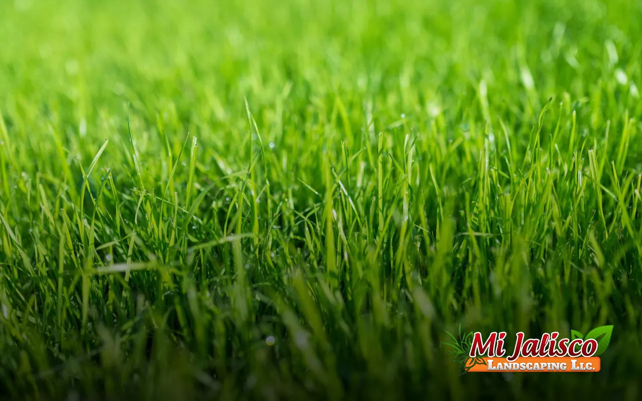 A well-manicured lawn improves the appearance of your home and can even boost property value.