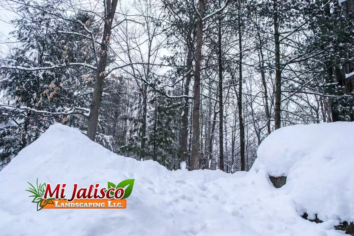 Snow piles covering street