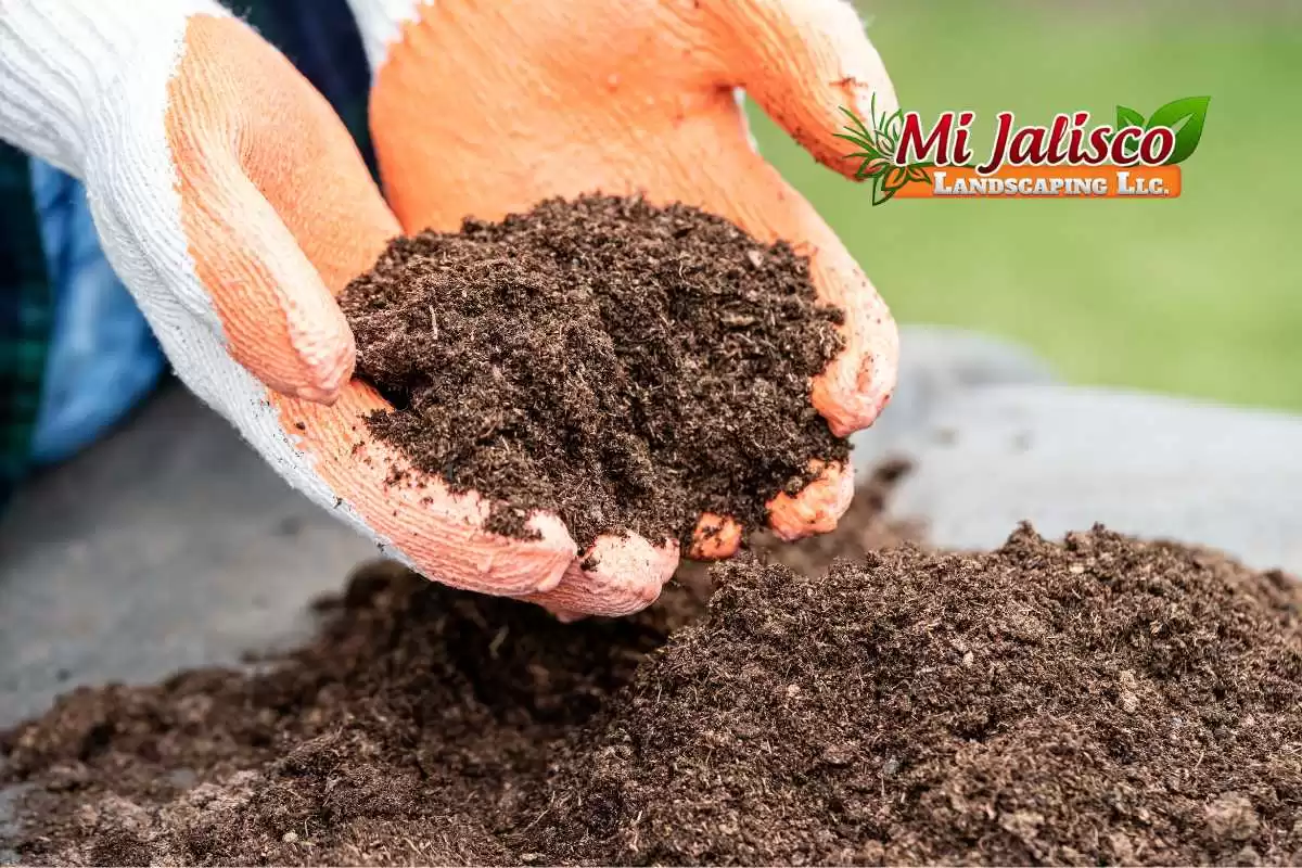 Enhancing Your Garden: Tips and FAQs on Topsoil vs Garden Soil