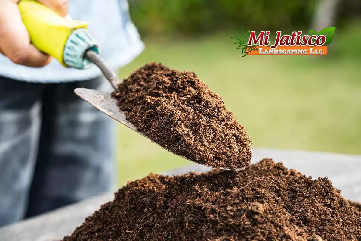 Comparing Topsoil vs Garden Soil: Pros, Cons, and Key Differences