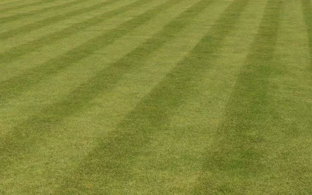 Stripe Pattern Techniques on Lawn
