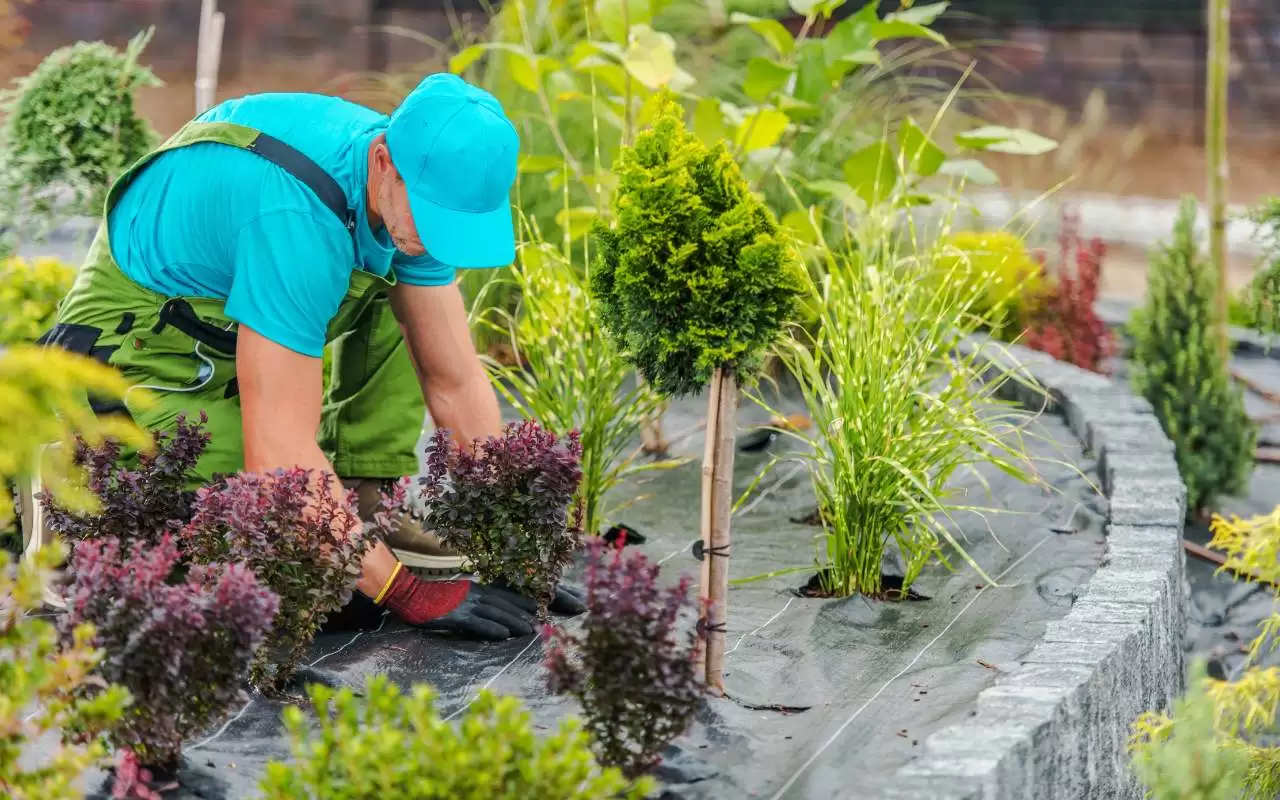 Selecting the right plants for your garden to ensure year-round beauty.